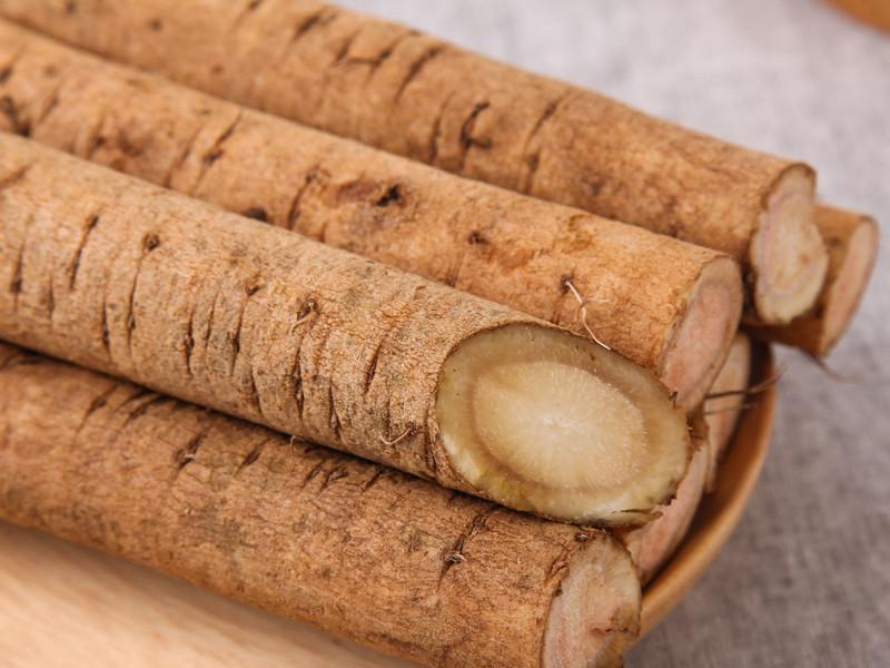 牛蒡 桔梗目菊科植物 搜狗百科 牛蒡 桔梗目菊科植物 搜狗百科