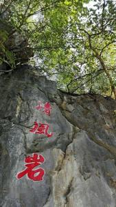 天等县景点