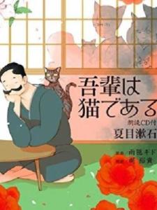 我是猫