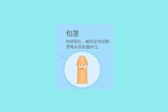 包茎 搜狗百科