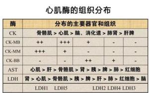心肌酶谱分布