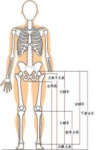 我家小孩这两天手臂和大腿长红点是什么原因呢