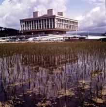寒河江市府大楼.jpg