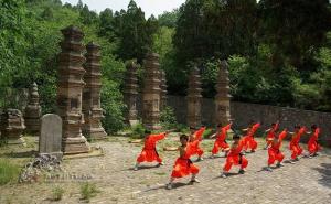 月山八极拳