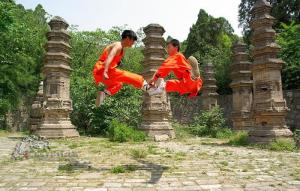 月山八极拳