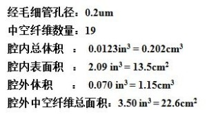 动态血脑屏障参数