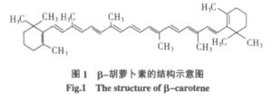 β-胡萝卜素的结构