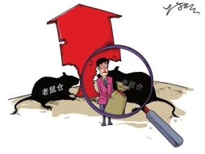 老鼠仓 搜狗百科 老鼠仓 搜狗百科