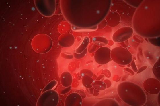 再生障碍性贫血 搜狗百科