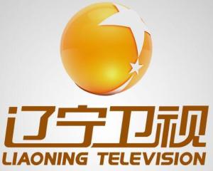 辽宁卫视我是主角助演嘉宾大潘叫什么名字?