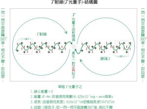 规范粒子:光子-内部结构模型图