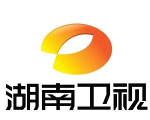 湖南电视剧频道logo图片