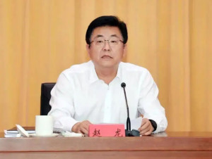 赵龙