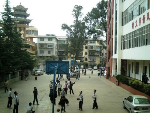 昭通市昭阳区有疫情吗-昭通艾滋病人数