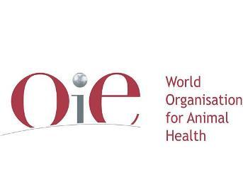 世界动物卫生组织