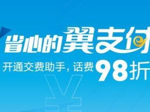 翼支付