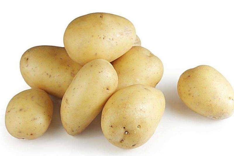 土豆的做法 搜狗百科