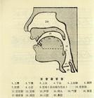 发音图