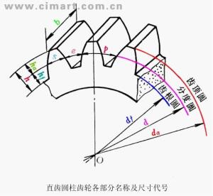 什么是齿形齿向图解图片