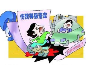 伤残鉴定标准图片