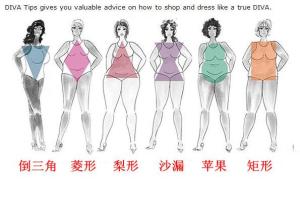 体型对比图
