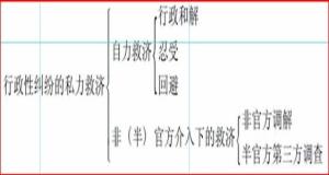 行政性纠纷的私力救济