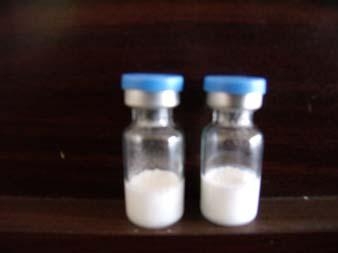 绒毛膜促性腺激素