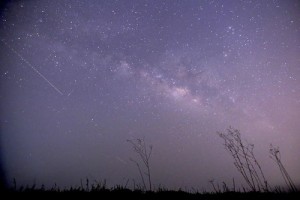 天琴座流星雨