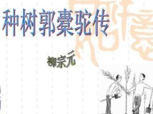 种树郭橐驼传