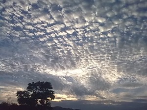 地震云