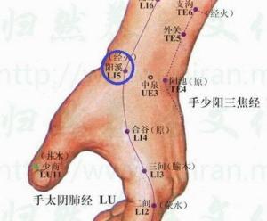 鼻烟窝即阳溪穴