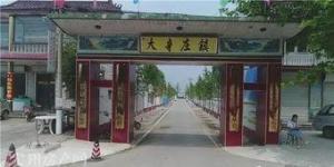 大辛庄镇
