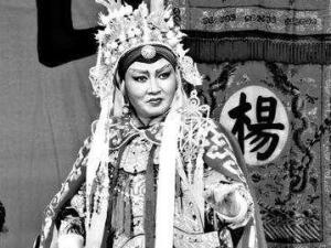 《百岁挂帅》剧照