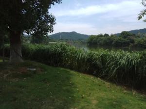 杭州湘湖旅游度假区