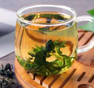 蒲公英茶