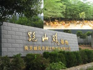江苏省网上家长学校图册