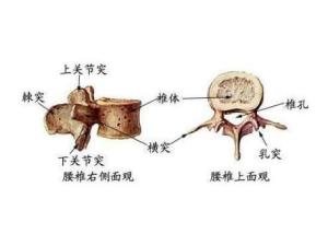腰椎穿刺术