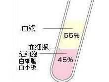 血液成分（加入抗凝剂）