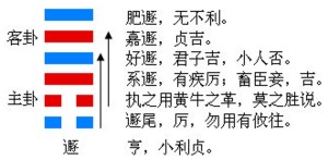遯卦的结构和卦爻辞