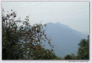 景宁山水（2）