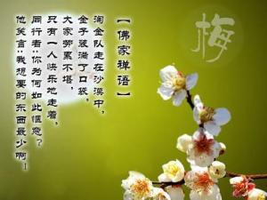 禅语