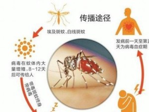 登革热相关图片