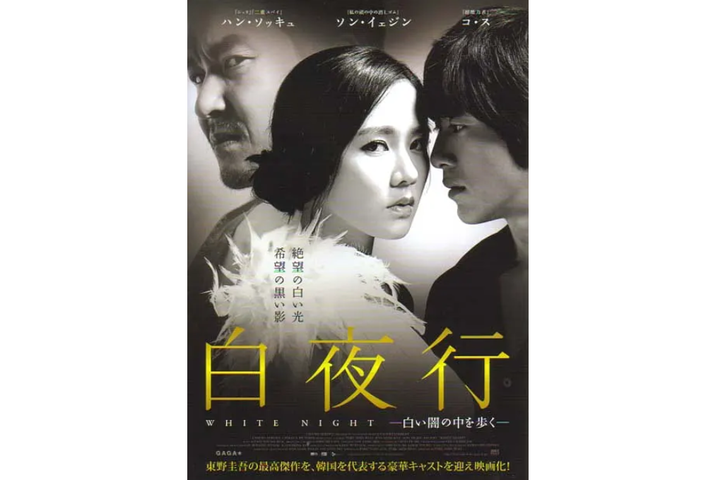 白夜行(韩国2009年孙艺珍主演电影)_搜狗百科