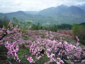 雾山乡