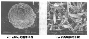图3金刚石表面碳化物形貌