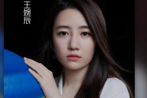 王婉辰