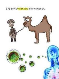 重症急性呼吸综合征