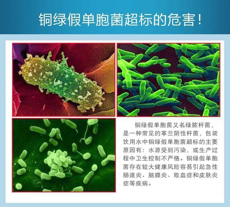 铜绿假单胞菌