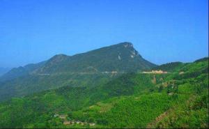 阳新县森林美景