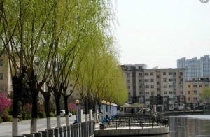 帝湖西王府